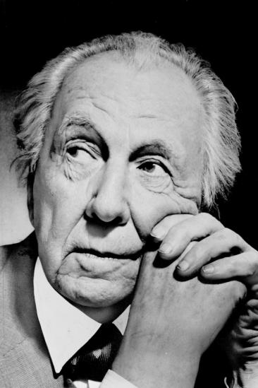 Frank Lloyd Wright Image