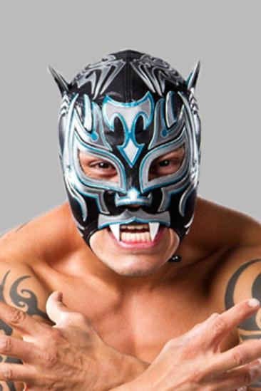 Tigre Uno Image