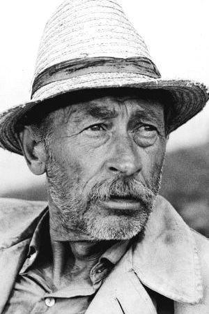 László Bánhidy Image
