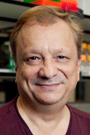 Michael Rampino Image