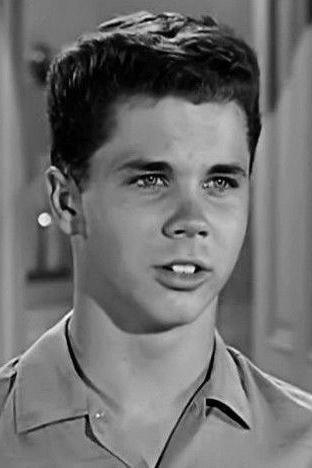 Tony Dow Image