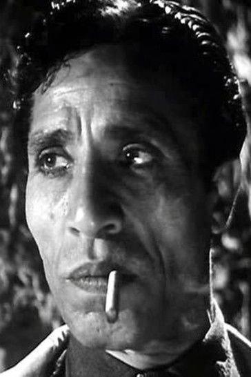 Mohamed Sobeih Image