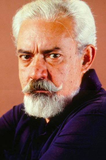 Fernando Torres Image